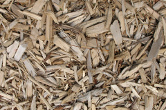 biomass boilers Waddeton