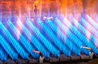 Waddeton gas fired boilers